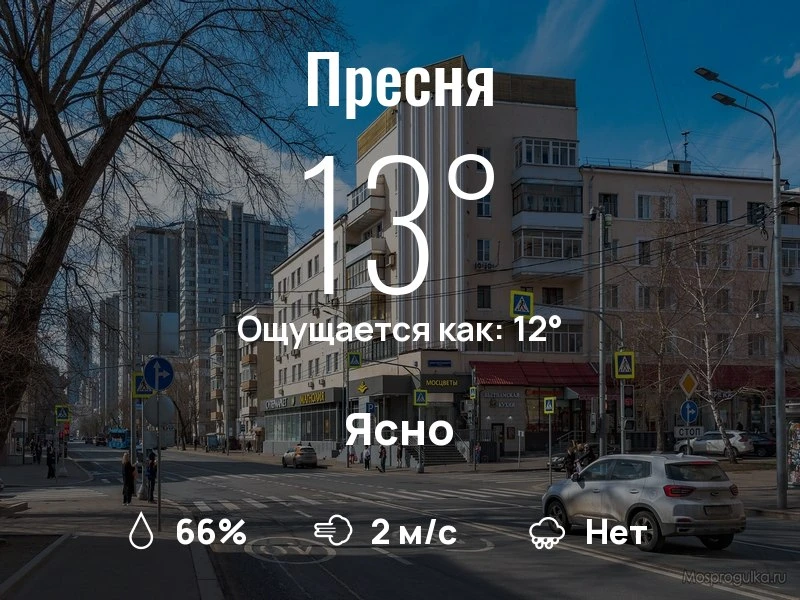Что с погодой в Пресненском?