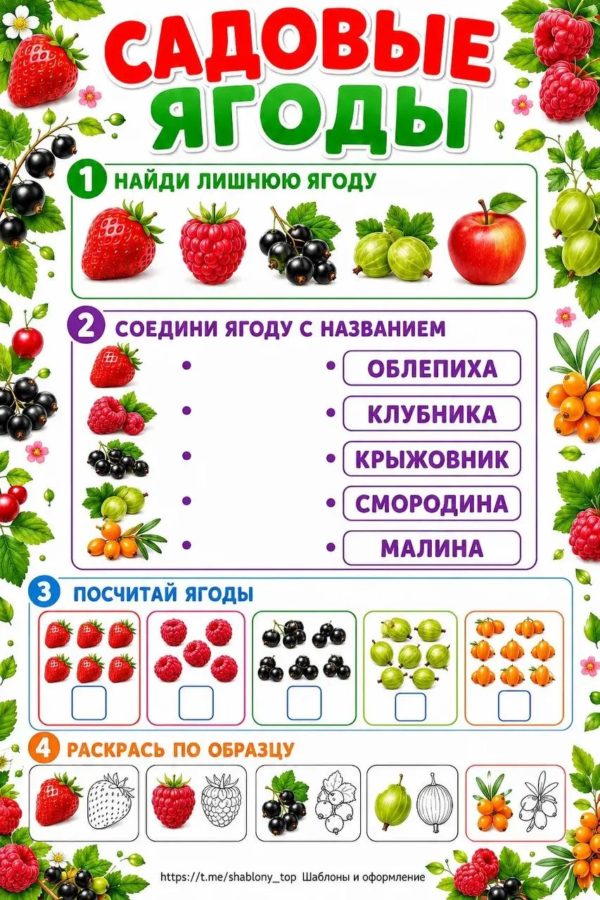 Рабочие листы + филворд на тему «Садовые ягоды» 🍓