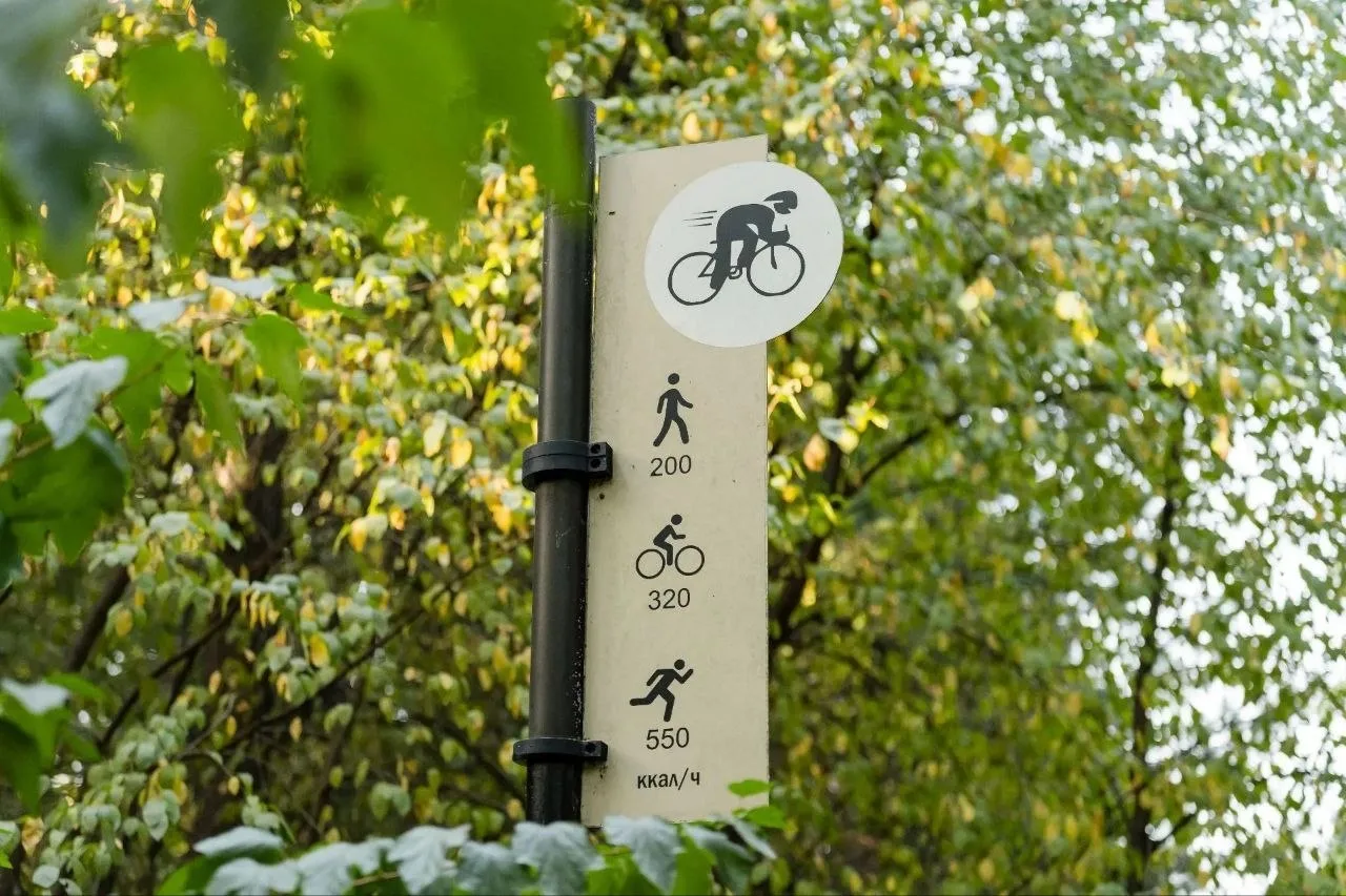 🚲 Веломаршрут через парк «Фили» вошёл в число любимых у юных москвичей.