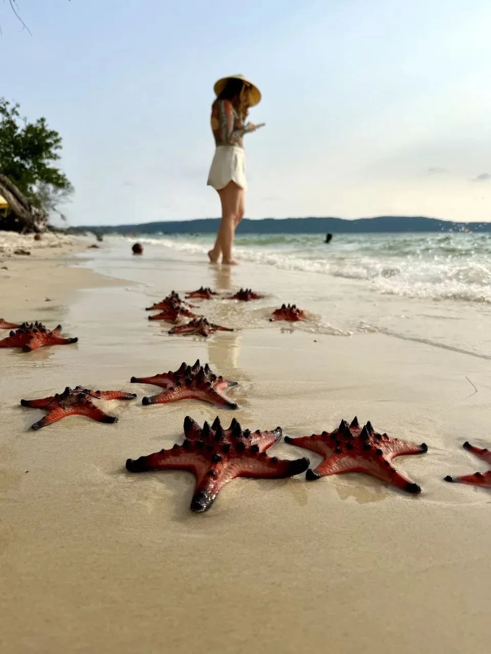🦀Первый вылет на Фукуок из Владивостока уже в октябре!