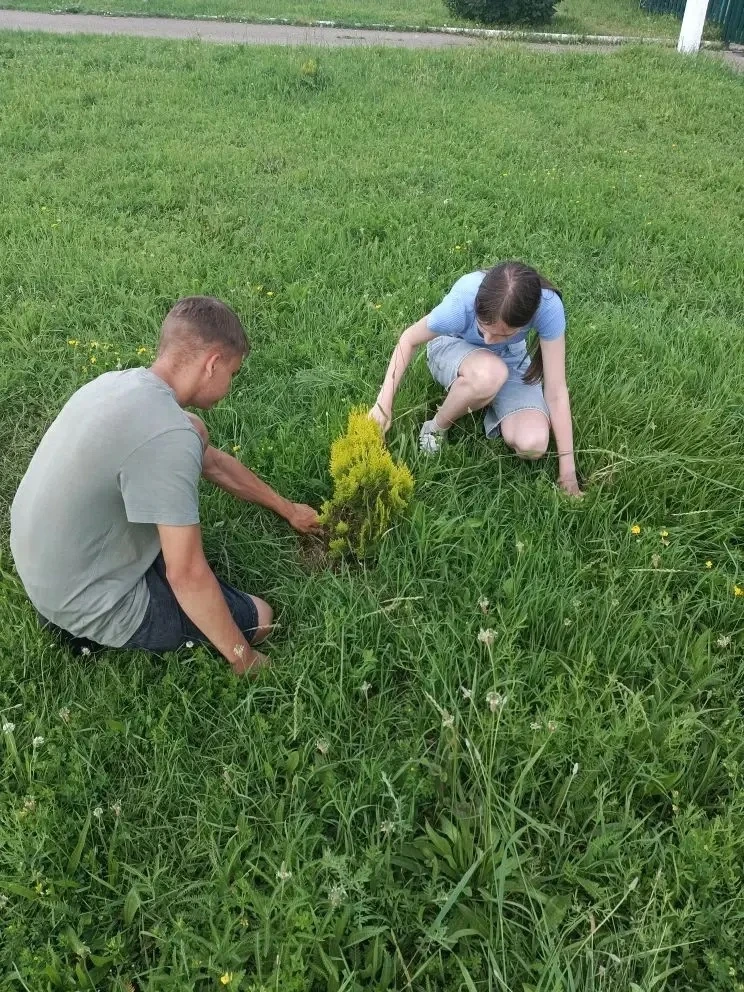 Сегодня ребята из лагеря «Трудовичок» с самого утра взялись за дело! 🌞 Они помогали выносить парты 