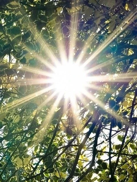 Доброе утро!  🌼🌼🌼🧡