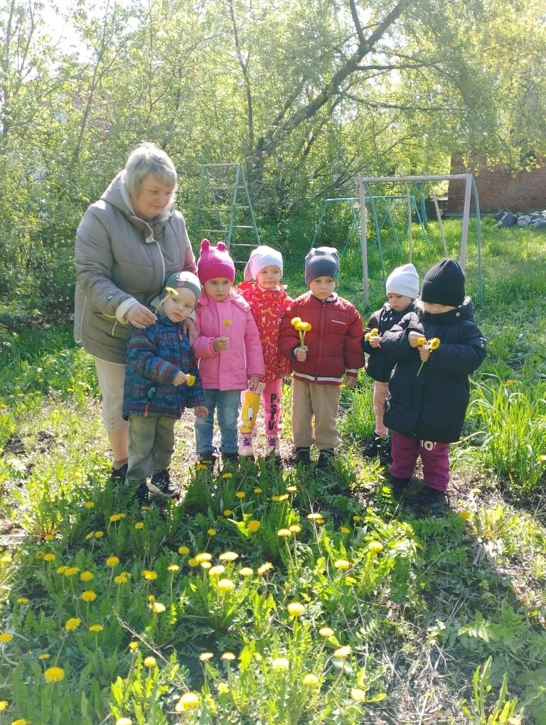 🌿 Тематическая неделя «На лугу»