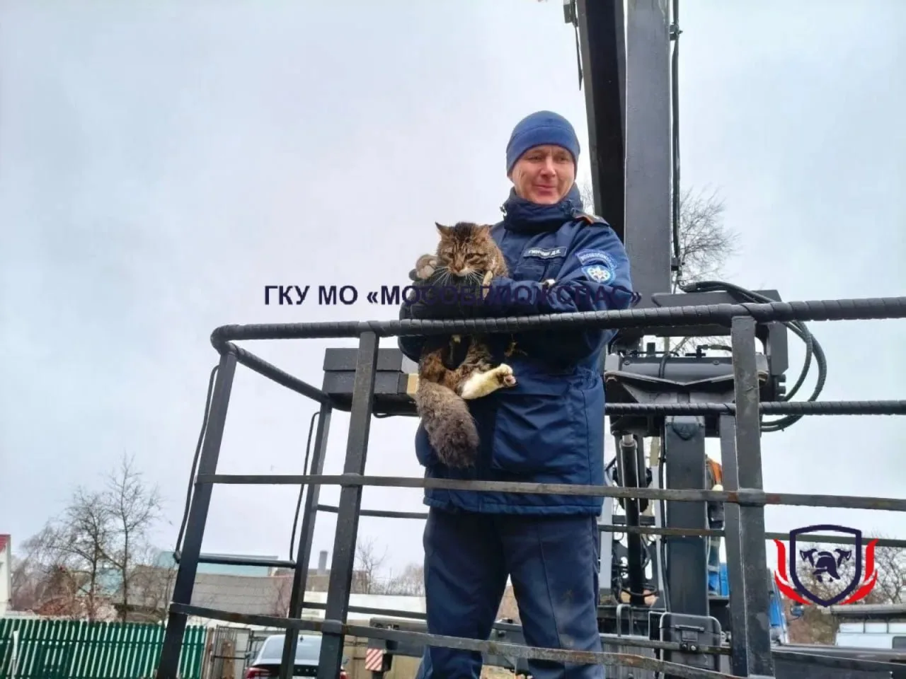 Кошечка решила по-своему отпраздновать день космонавтики - взмыла к звездам, точнее, к ...
