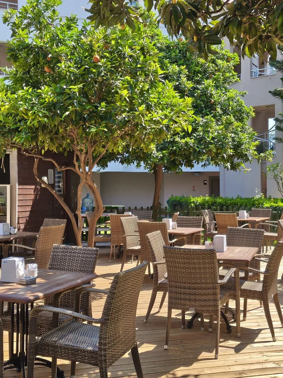 MARVIDA PALMERAS PASCHA HOLIDAY VILLAGE (EX. TUI BLUE PASCHA BAY) 4⭐️

Москва ➡️ Турция, Аланья
26 и