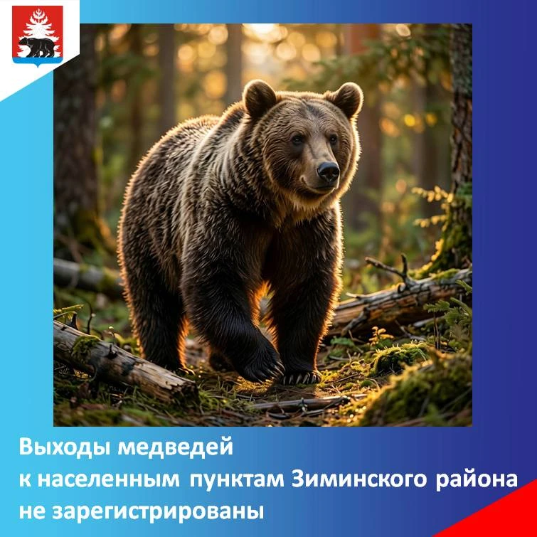 В социальных сетях и мессенджерах в последнее время все чаще встречаются сообщения жите...