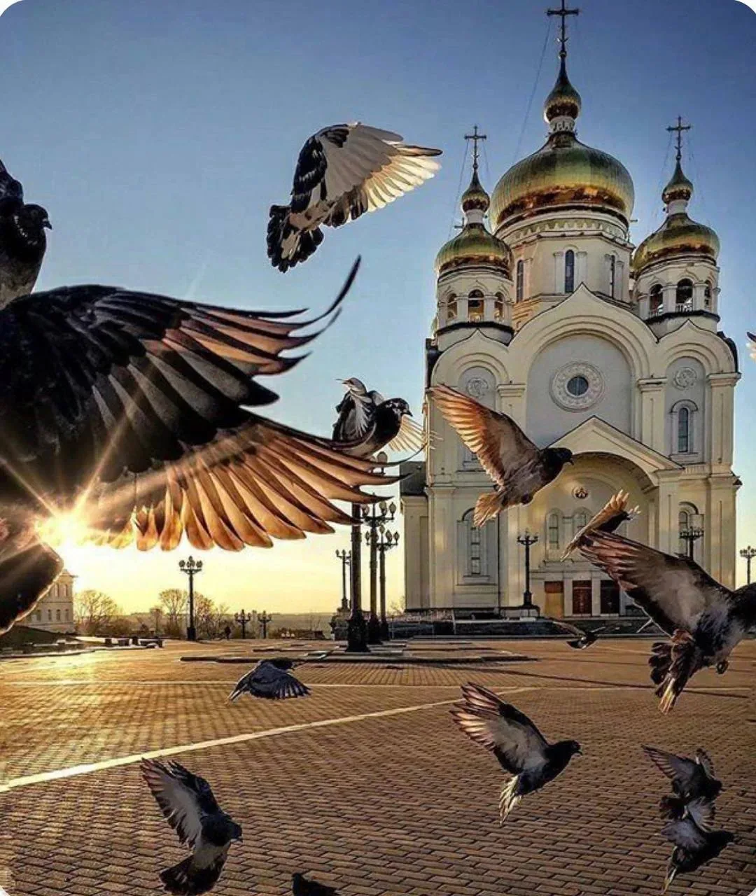 Уважаемые жители!Поздравляем вас с Днём города!

Наш город — это не только улицы, дома и площади. Пр