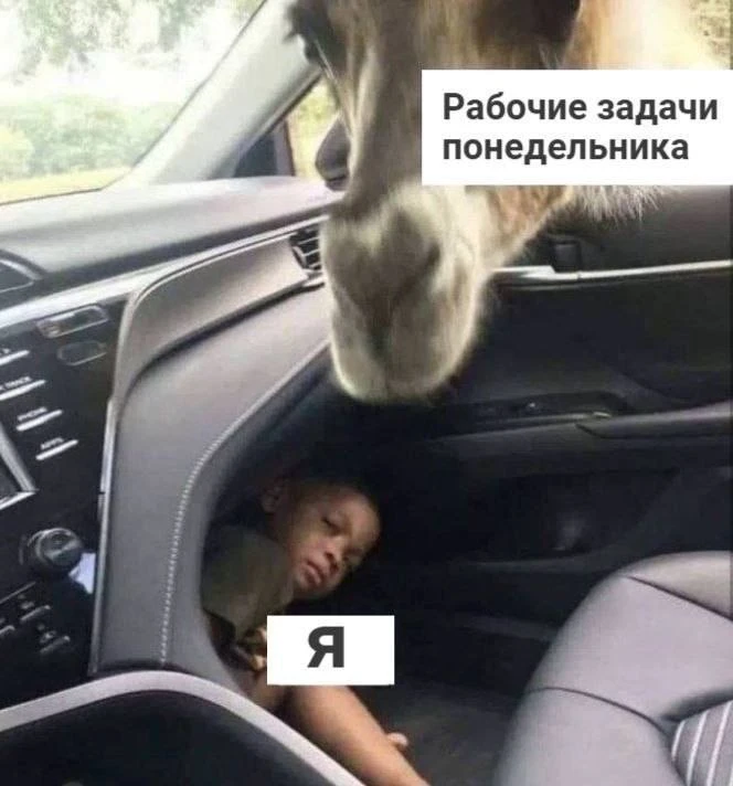 Доброе утро ☀️