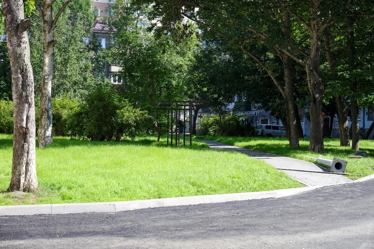 🌳 Этим летом ещё больше дворов получат обновлённый облик