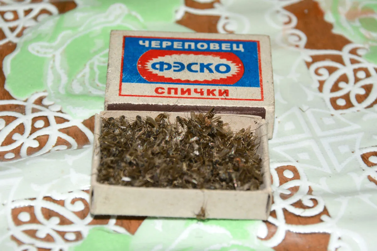 Байки из детства.