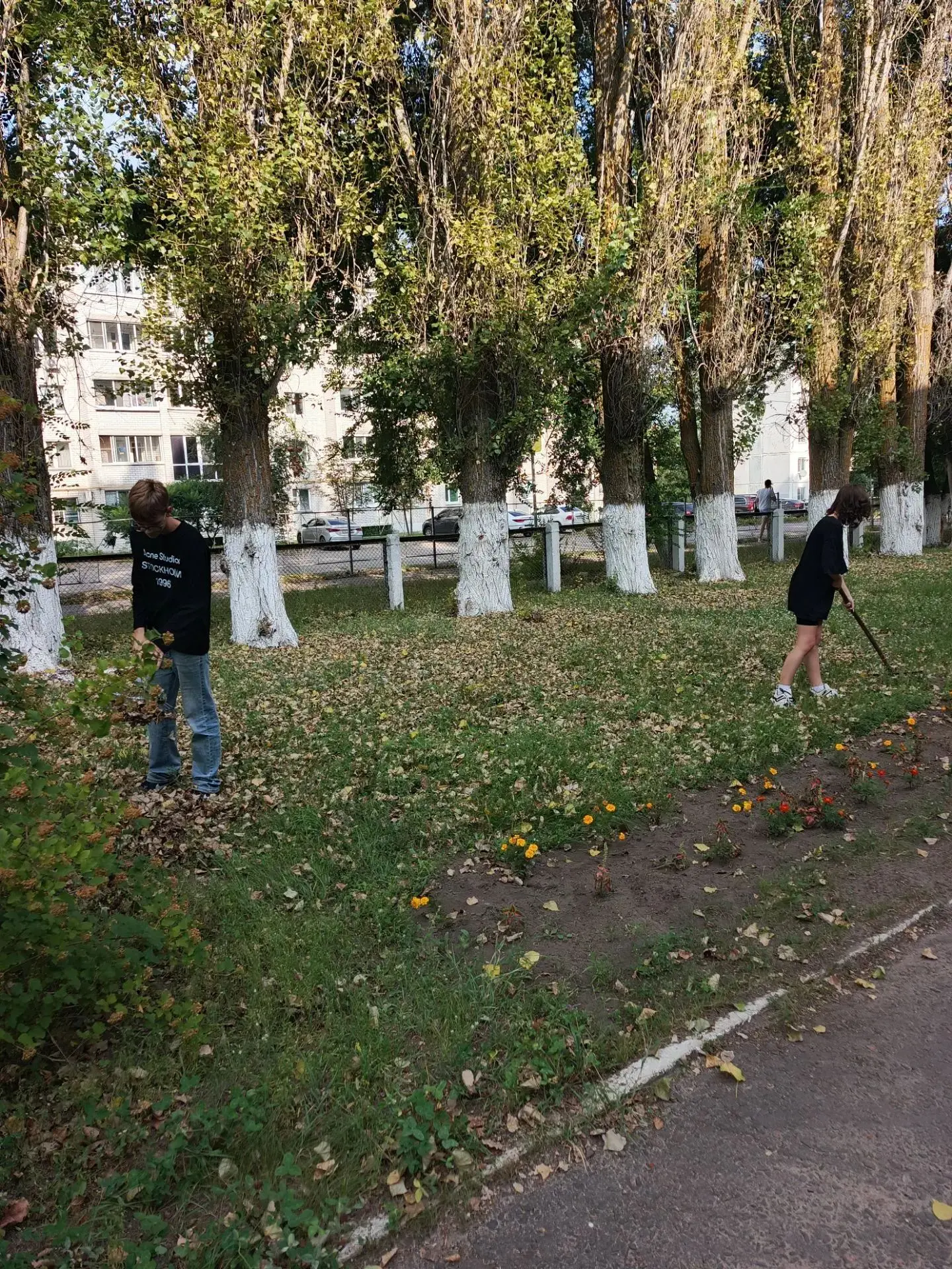 Трудовой десант