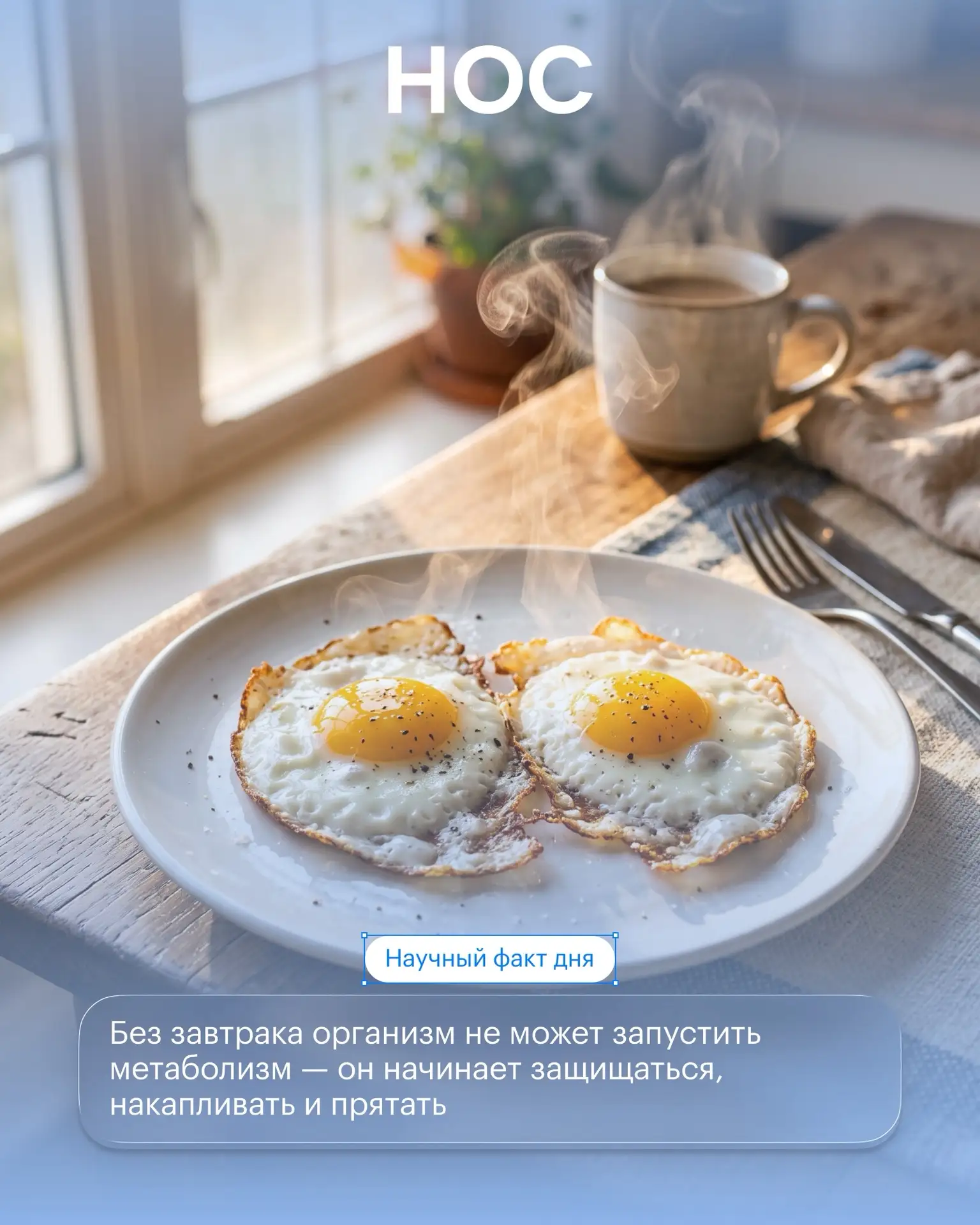 Циркадрые ритмы: что это и с чем их едят