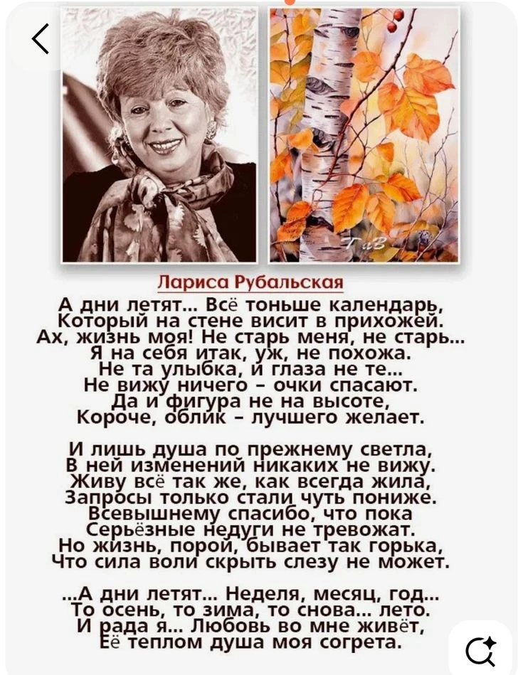 Стихи...✍
