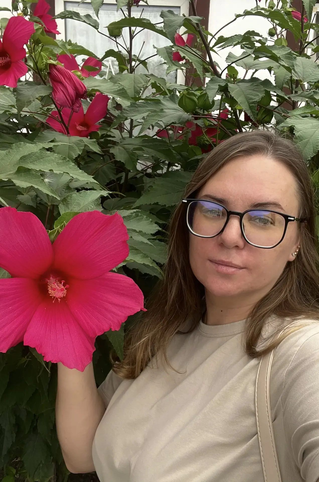 Огромный цветок 🌺