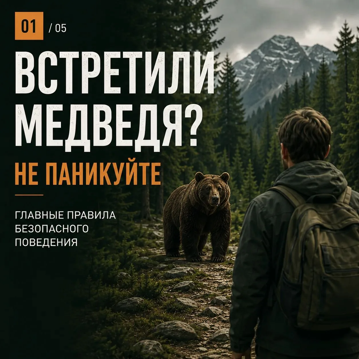 Встретить медведя в лесу – ситуация, к которой лучше быть готовым заранее.