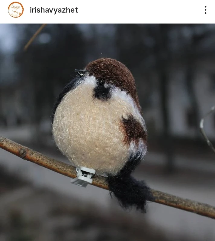 Совсем скоро птицам будет нечего есть. Пора делать кормушки! А моим птичкам искать проп...