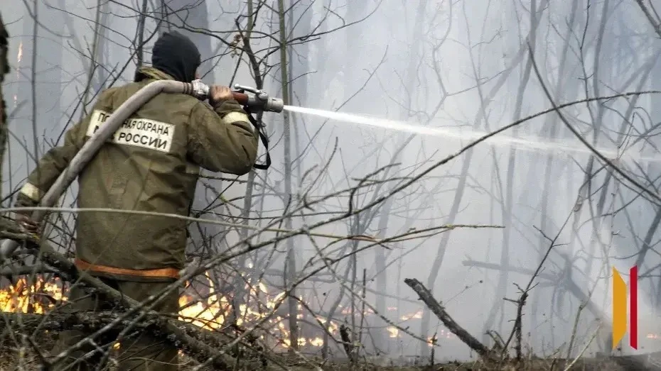 На территории 11 районов Воронежской области действует чрезвычайная степень пожароопасн...