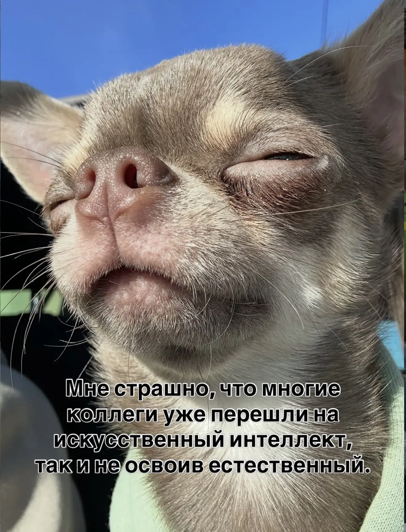 #ФД_юмор