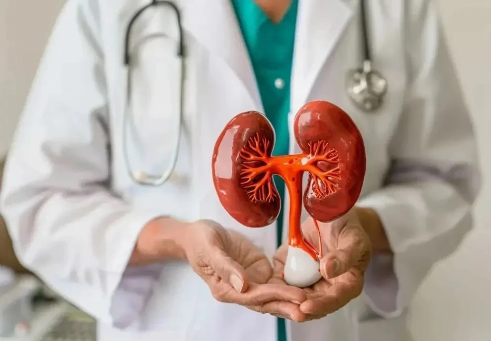 👨🏻‍⚕️Главный крымский уролог рассказал о факторах, негативно влияющих на здоровье почек