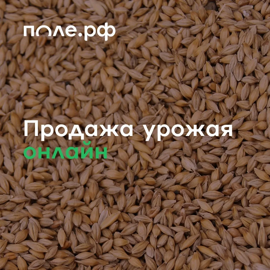 ❗️ Продавать урожай просто! 

⏰ Сегодня это можно сделать онлайн при поддержке Поле.РФ

Для этого ну