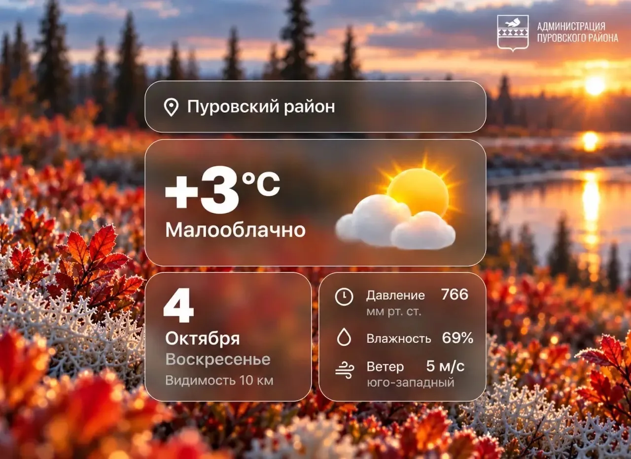 В Тарко-Сале уже +3 °C. После утренних −3,8 °C заметно потеплело