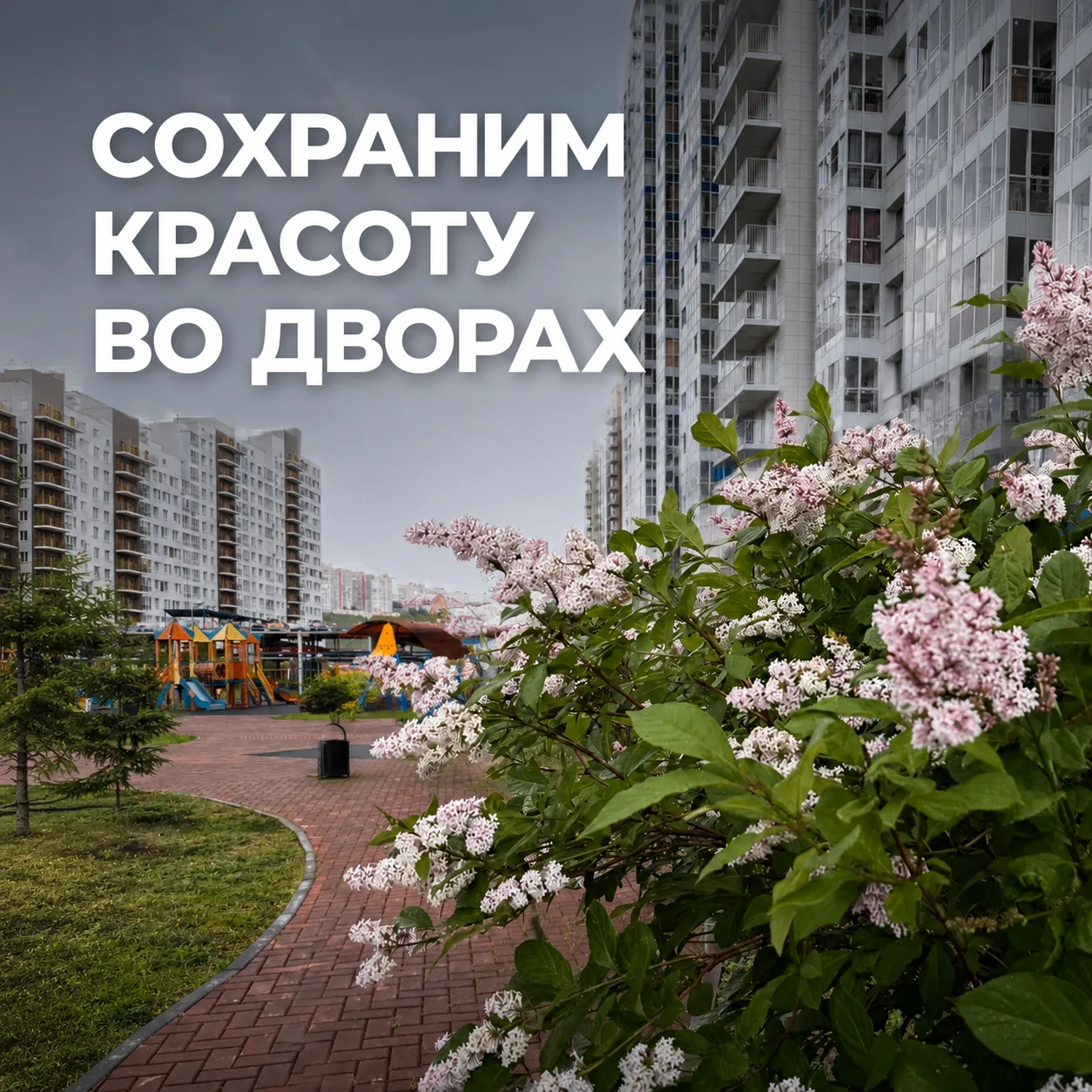 Сохраним красоту во дворах 

Цветущие кустарники и деревья во дворе — это не просто красиво. Это жив