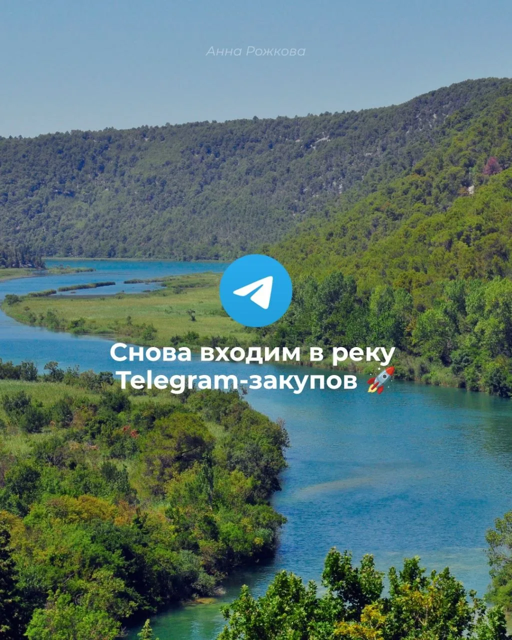 Снова входим в реку Telegram-закупов 🚀