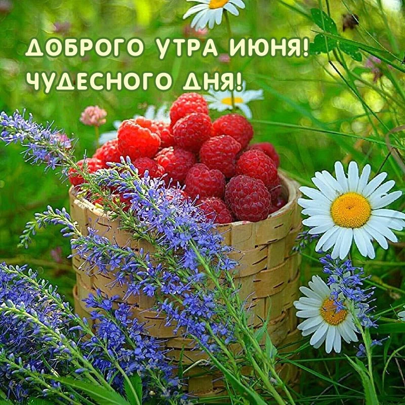 💰 Текущий баланс на карте 15500₽

✅ 1007,55 бонусов 
" СберСпасибо "🌸

Все средства пойдут на помо
