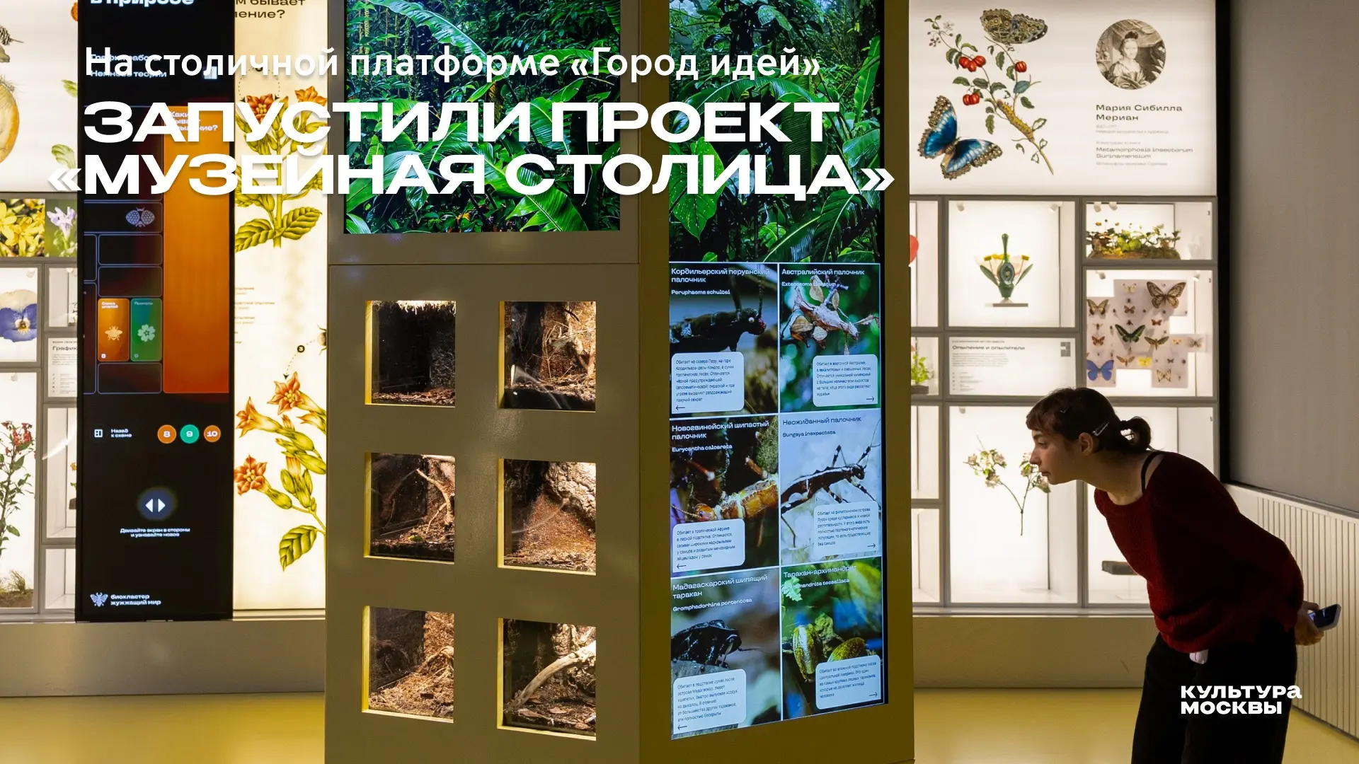 На платформе «Город идей» стартовал проект «Музейная столица», который продлится до 12 августа. Все 