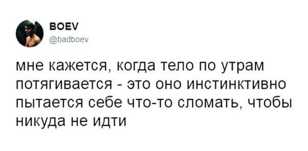 Доброе утро, дорогие😂☀