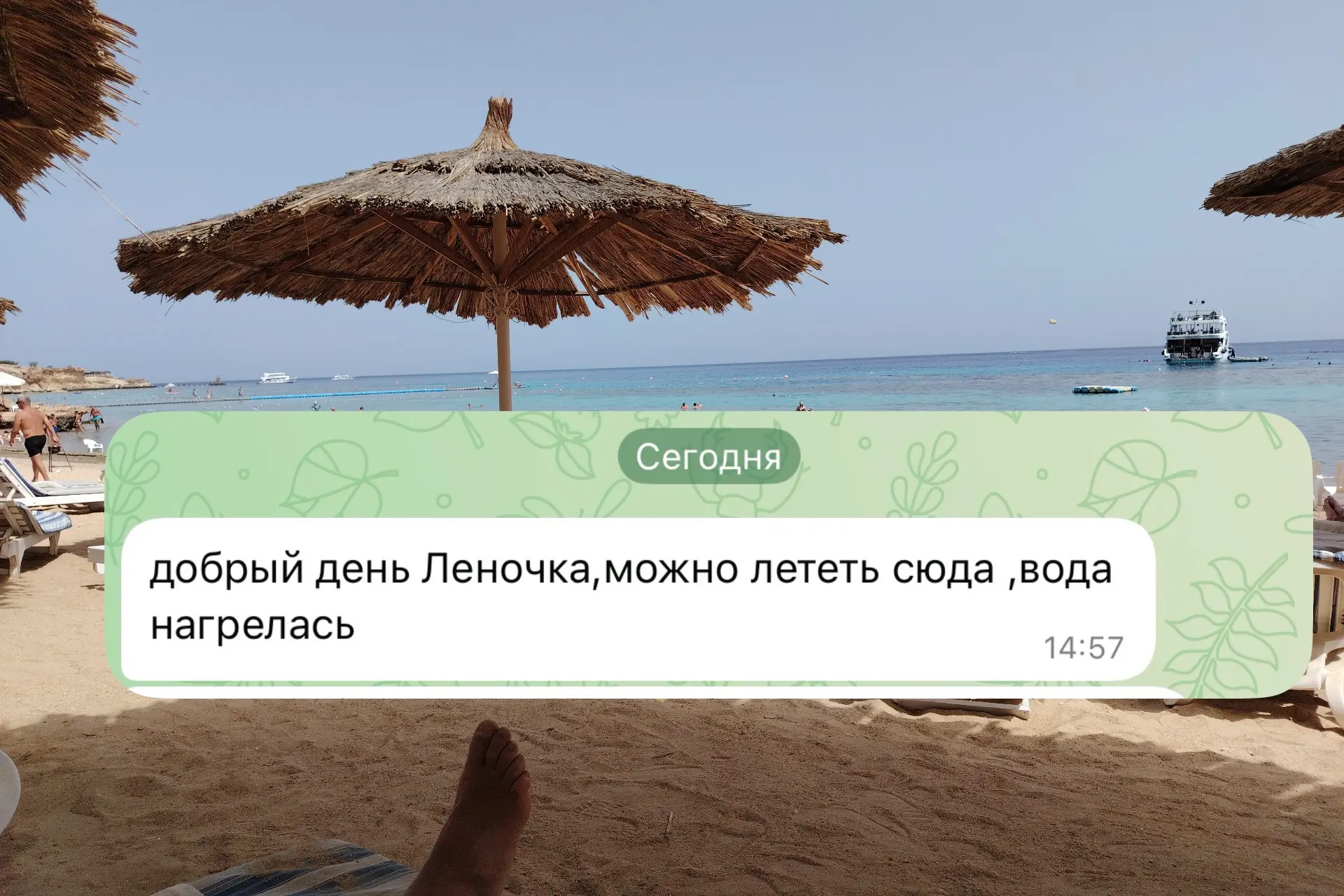 Такое сообщение мы получили от наших туристов, которые прямо сейчас отдыхают в Шарм-эль...