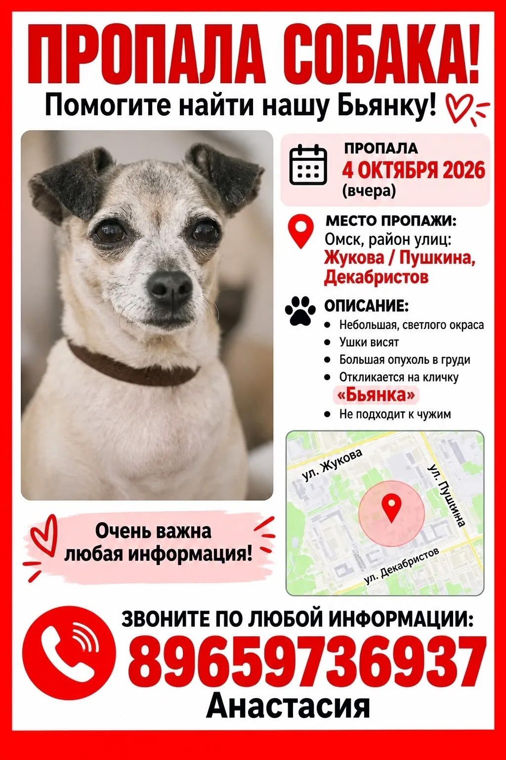 Помогите пожалуйста найти собаку!!!