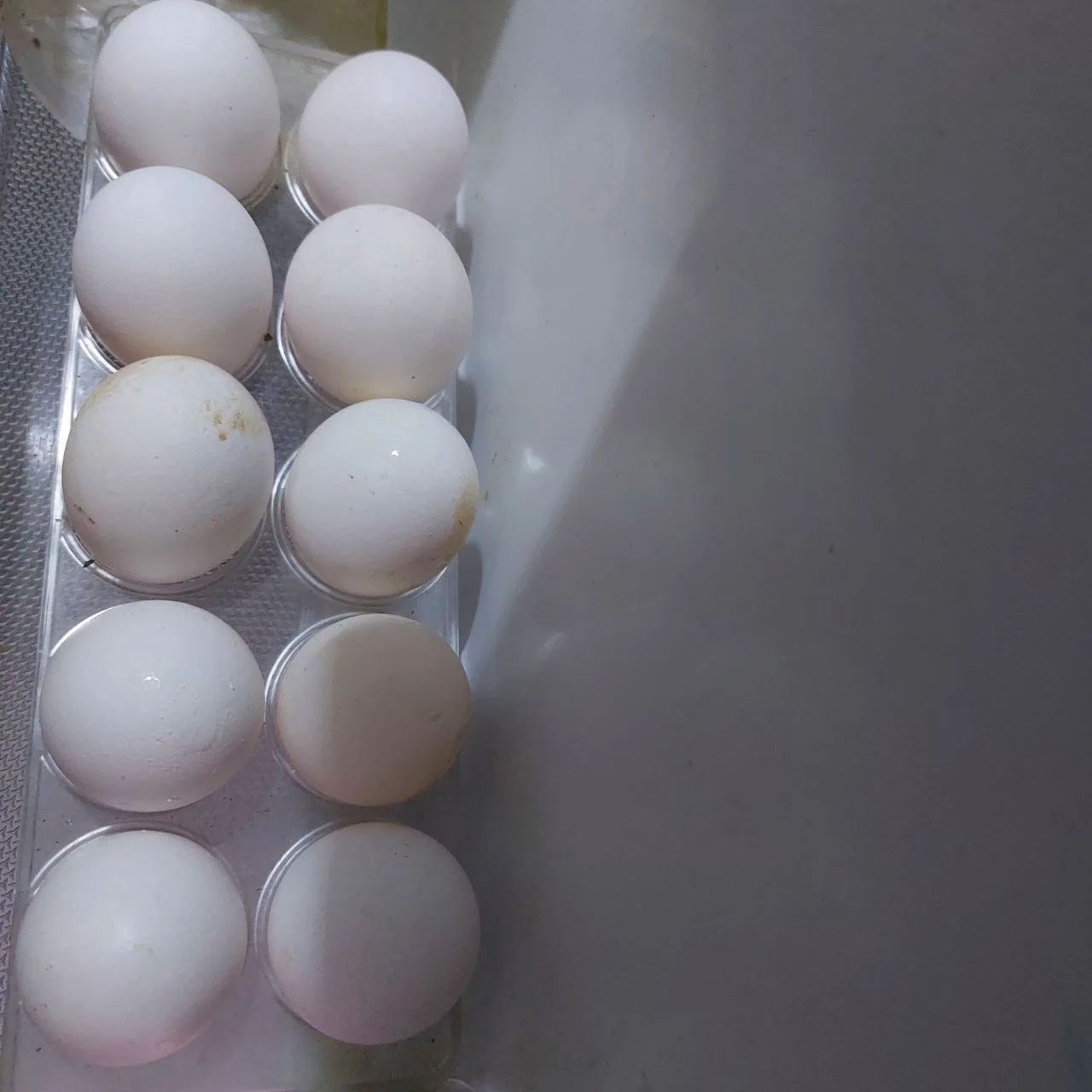 Продам куриное домашнее свежее яйцо! (Белые). п.Октябрьский, жд вокзал, г.Донецк. Цена ...
