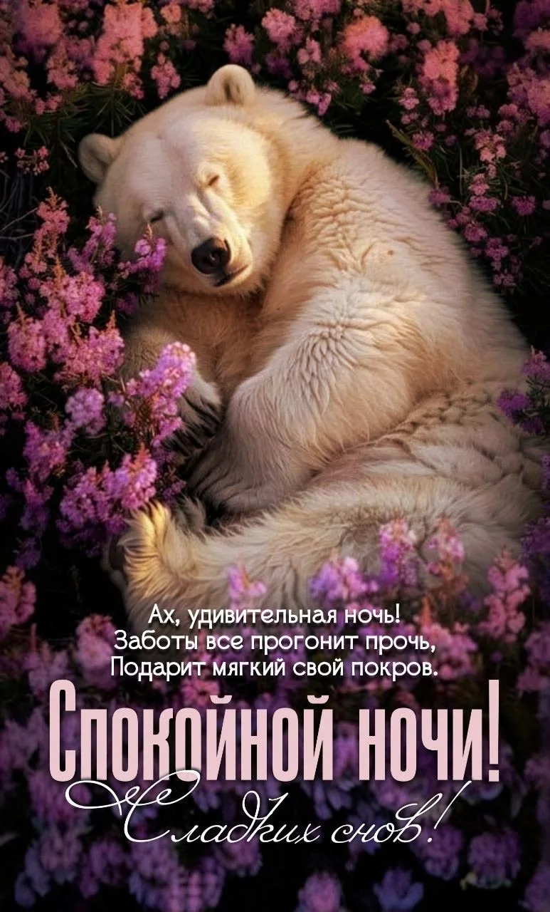 #СпокойнойНочи 💜