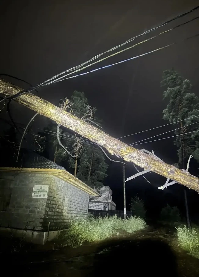 🌳 После непогоды в Улан-Удэ запустили чат-бот для приема заявок на уборку деревьев