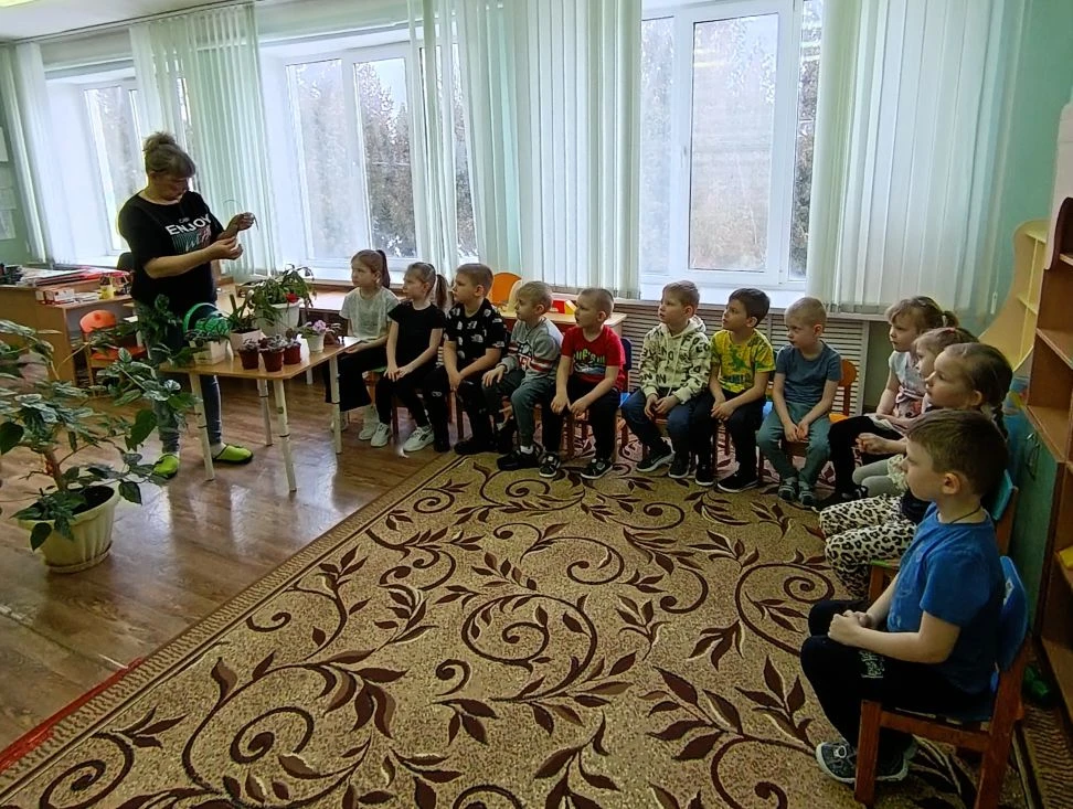 Разве может быть что-то красивее комнатных цветов?!
