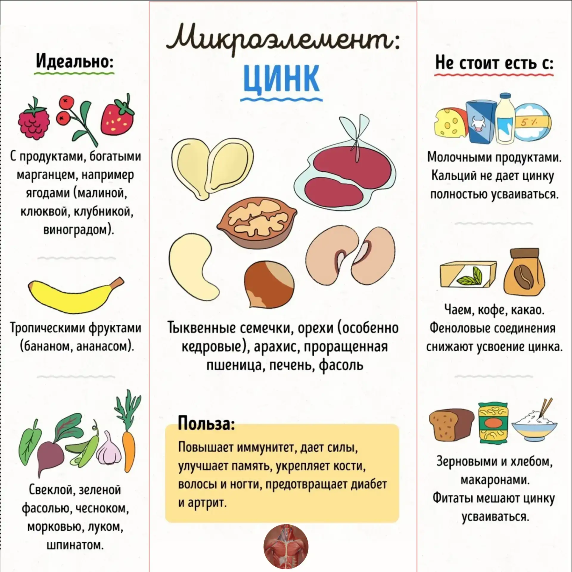 Вот почему вы должны пить больше цинка!