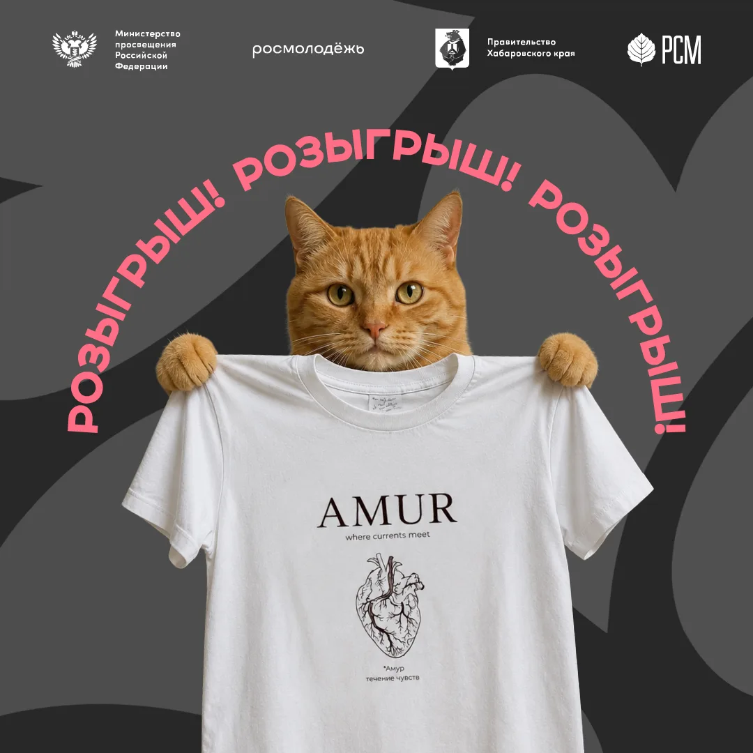Новый розыгрыш от друзей Студвесны — KOLIS