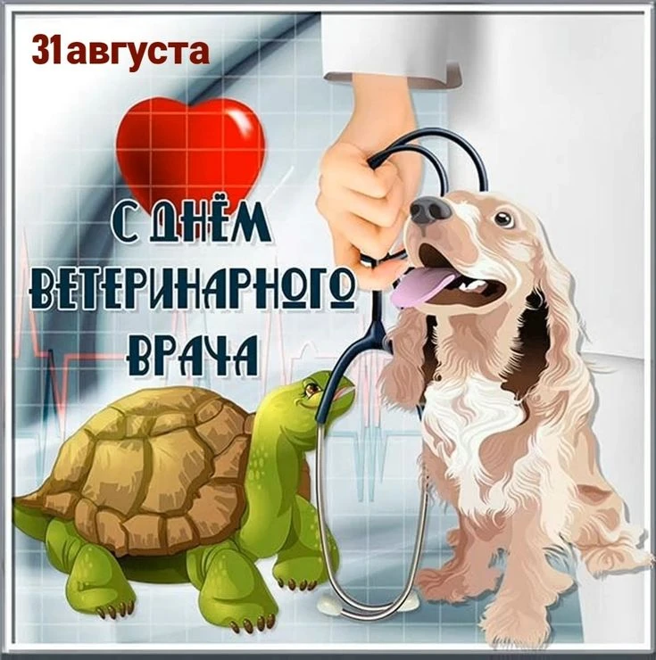 🎉 С Днём ветеринарного работника! 🎉