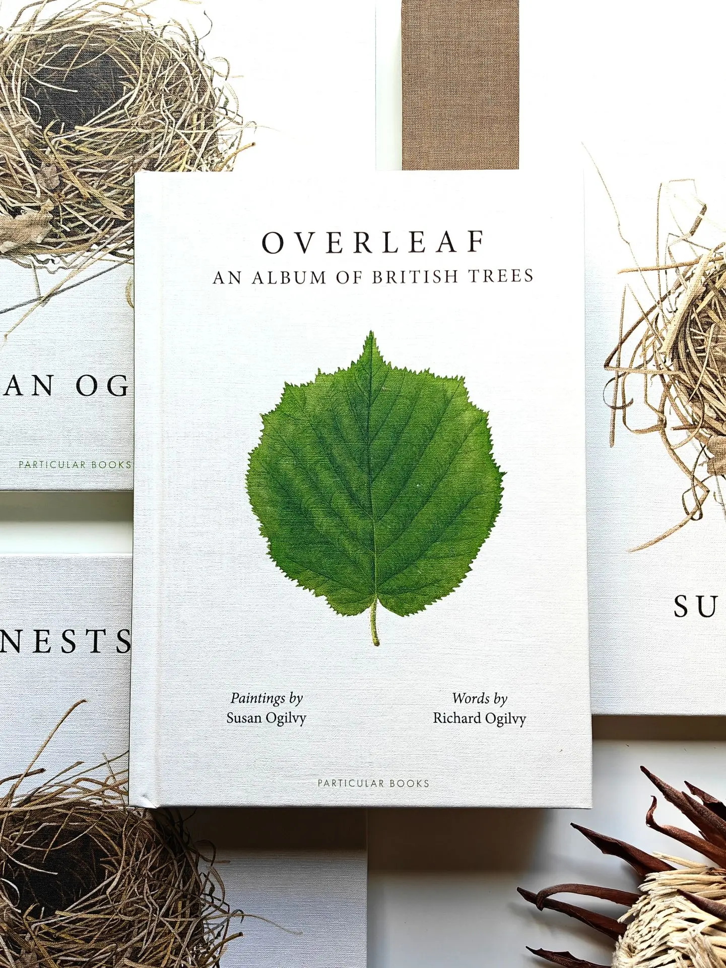 🌳Гид-определитель деревьев 🌳
