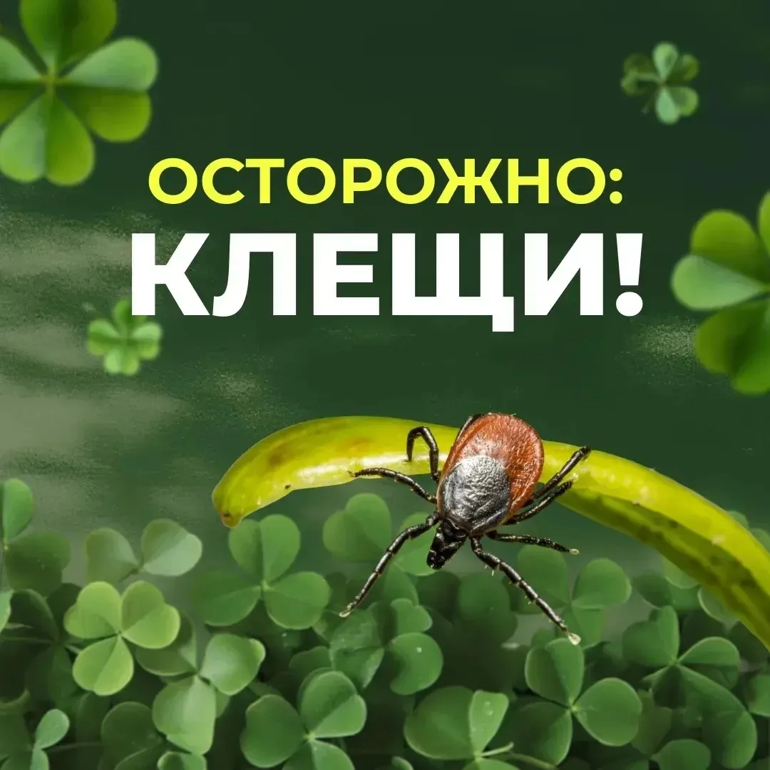 ☀️ Совсем скоро начнутся летние каникулы — время прогулок, поездок, отдыха у бабушки и ...