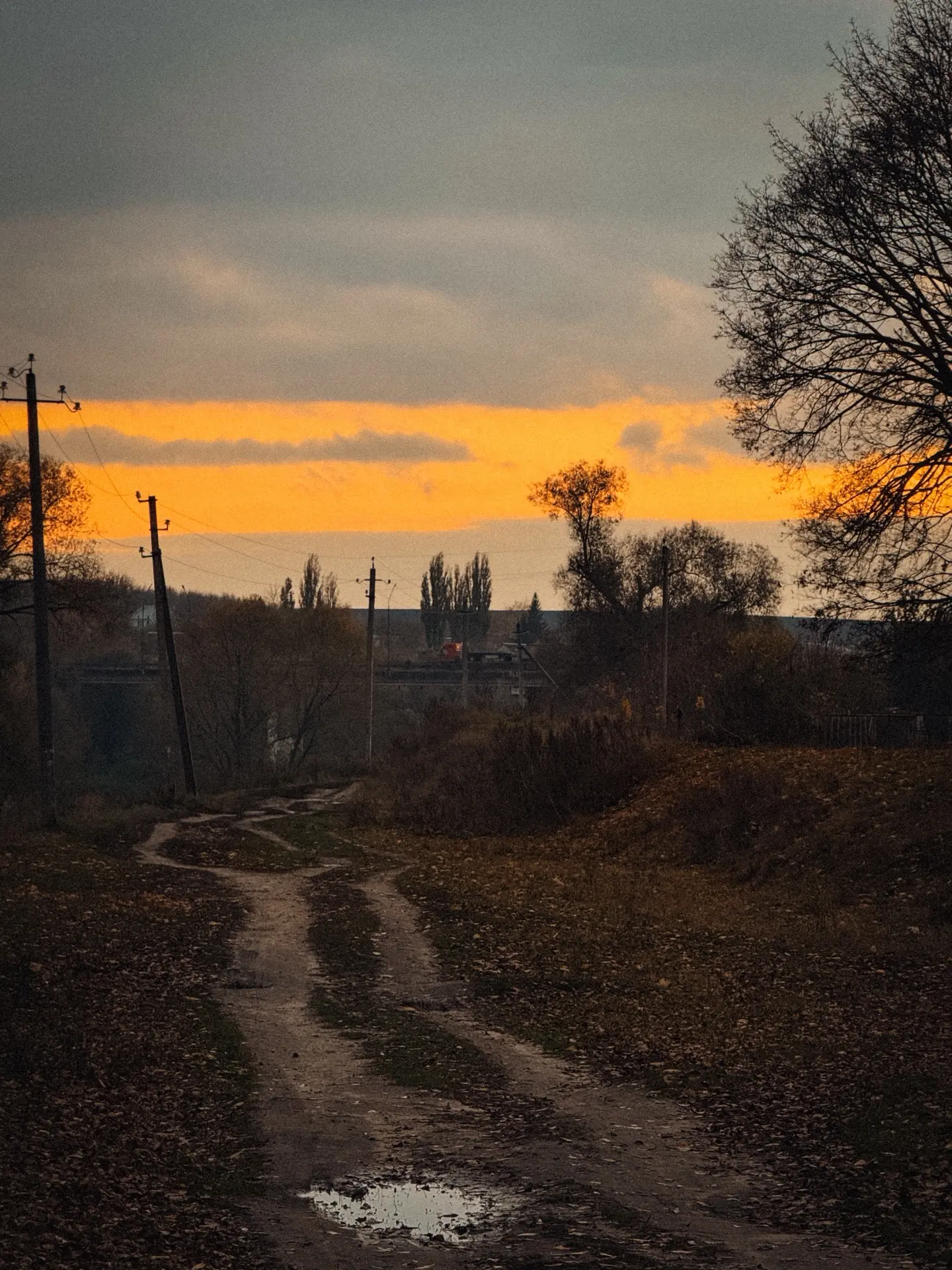 Осень в Комсомольском парке 🍂🍁