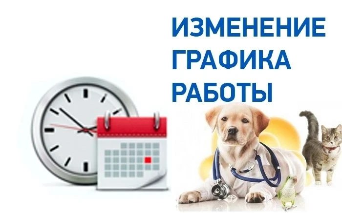 Уважаемые владельцы питомцев!
В связи с сезоном отпусков ветеринарная клиника временно переходит на 