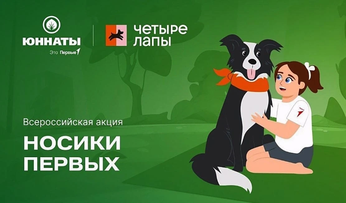 🐶 «Носики Первых»: собираем добро для хвостатых друзей! 🐶