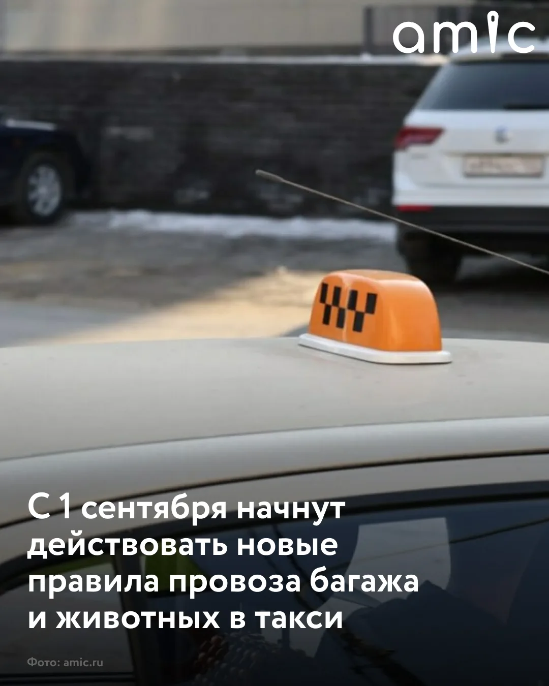 С 1 сентября 2026 года в России вступают в силу новые правила перевозки багажа и животн...