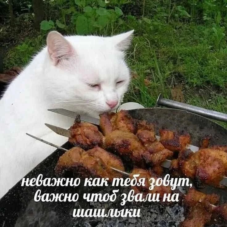 🍖 Шашлыкам быть: в Свердловской области отменили противопожарный режим

С 19 июня в регионе снова