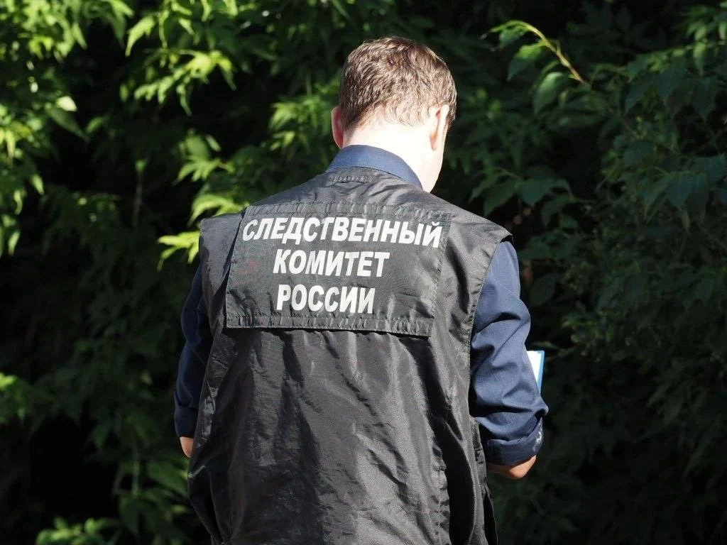 ☠️ В Новосибирске 69-летняя женщина и 79-летний мужчина задушили своего 45-летнего сына...
