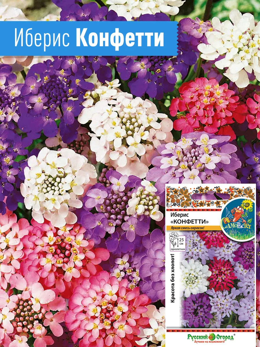 Всё зацветёт без лишних забот! 🌺  Мечтаете о роскошном цветнике, но нет времени возиться? Посадите э