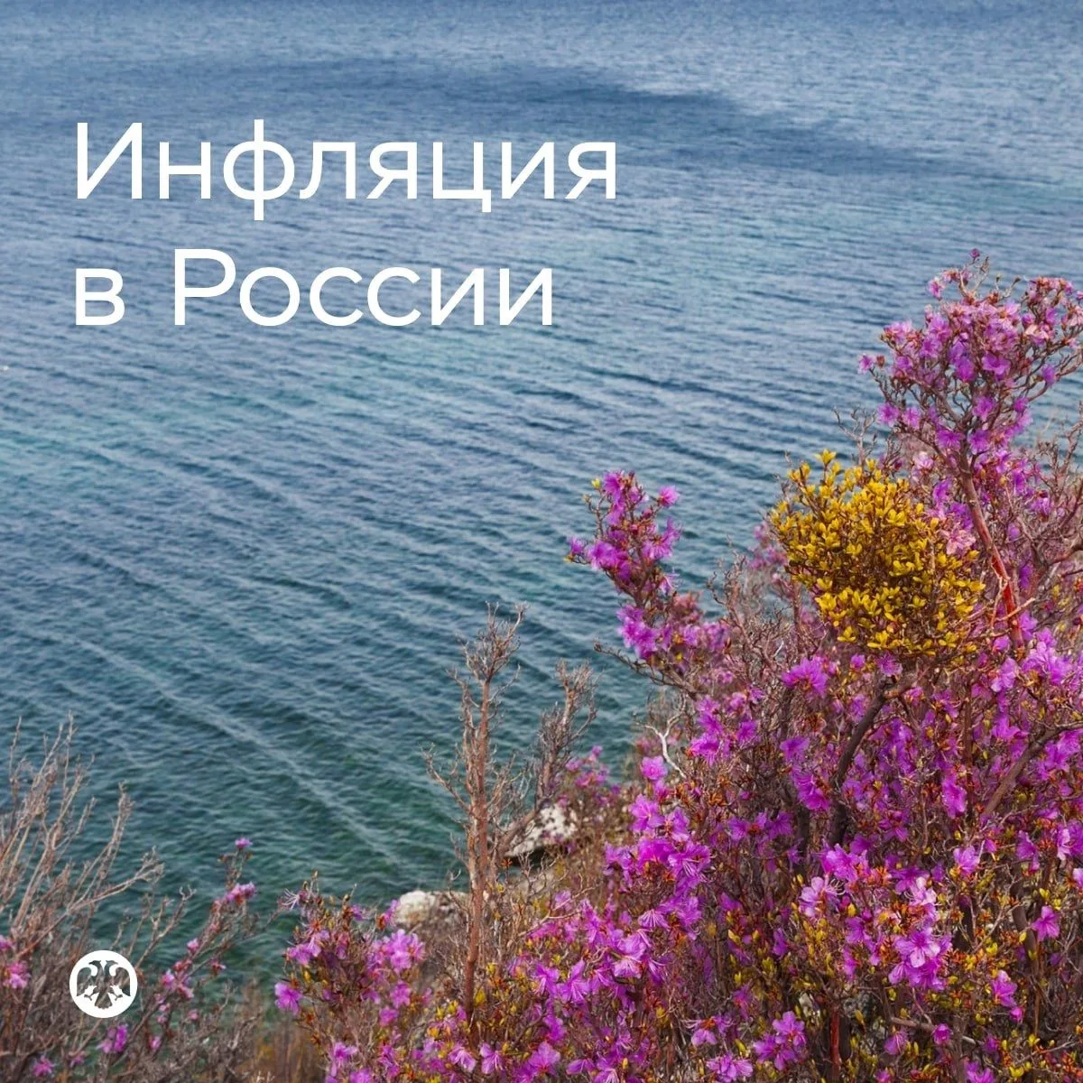 Рост цен в апреле значительно замедлился