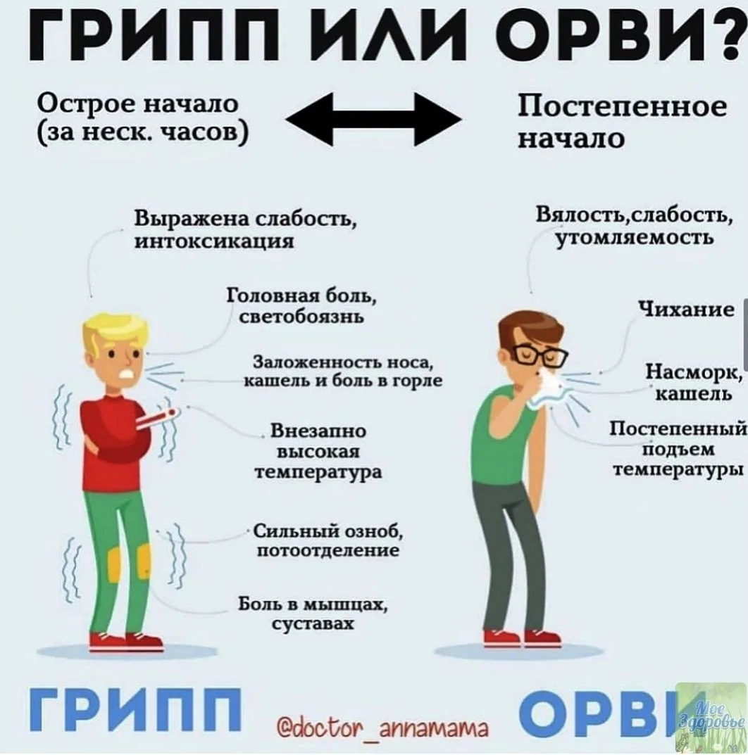 Грипп, ОРВИ, новая коронавирусная инфекция (COVID-19) – острые респираторные вирусные и...